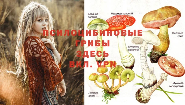 ПСИЛОЦИБИНОВЫЕ ГРИБЫ Алексеевка