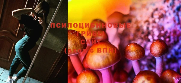 ПСИЛОЦИБИНОВЫЕ ГРИБЫ Алексеевка