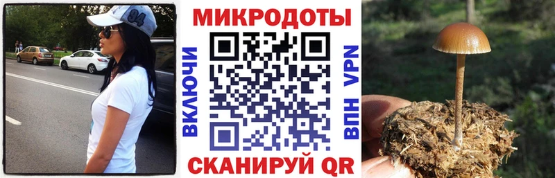 Псилоцибиновые грибы мухоморы  где можно купить наркотик  Печоры 
